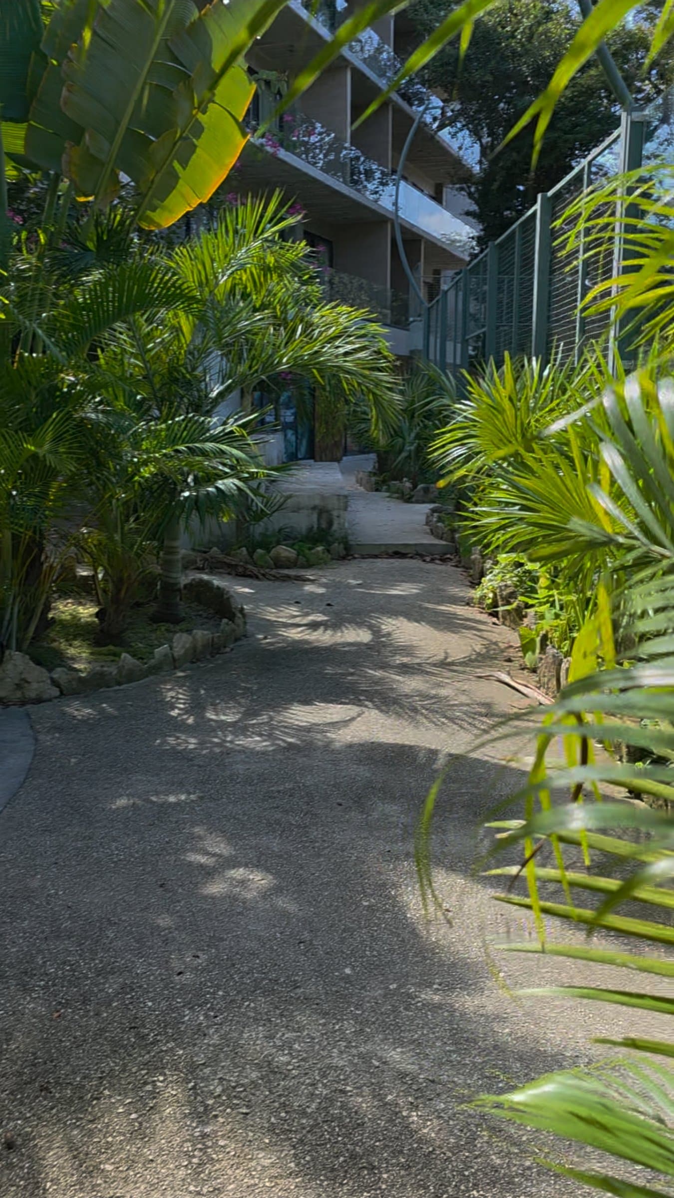Nature walking trail through tropical jungle